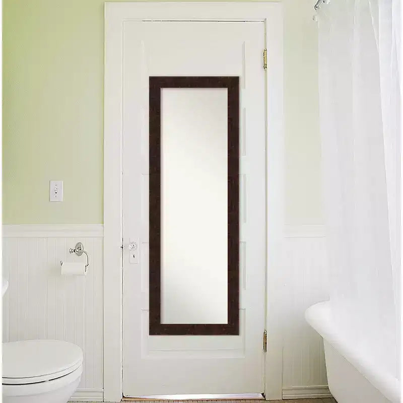 Miroir pleine longueur de porte encadré étroit William de 18 po x 52 po bronze