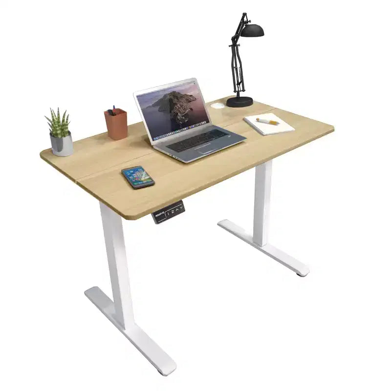 Compact Electric Standing Desk with 48 Tabletop