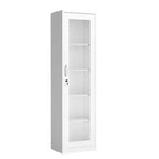 Armoire de rangement à outils en acier blanc, verre simple face (pré-percée)